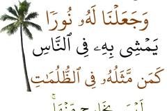 نص رقم 183