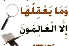 نص رقم 189