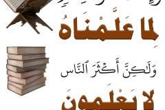 نص رقم 27