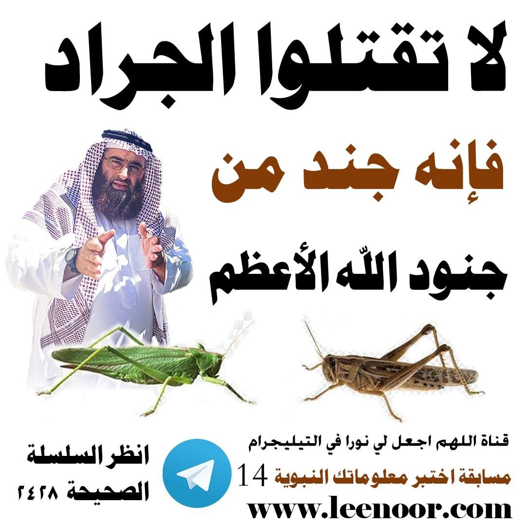 مسابقة-14-min
