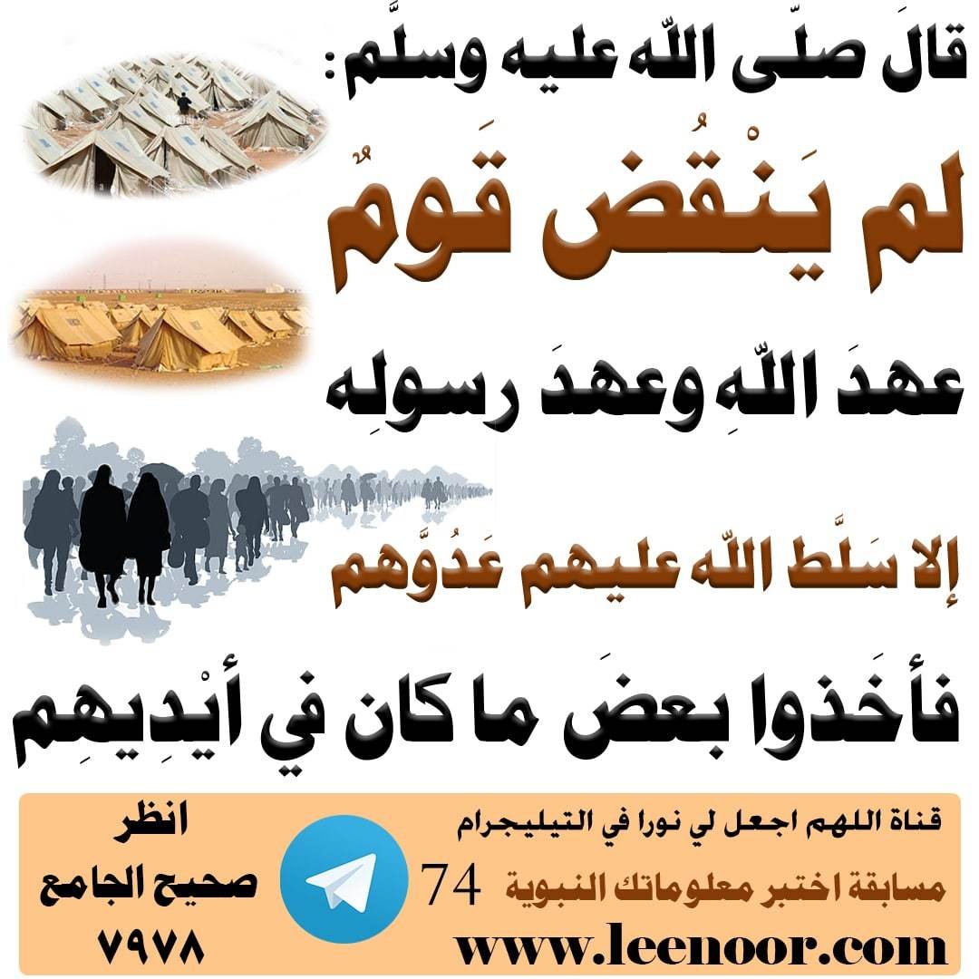 مسابقة-74-min