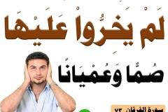 لم-يخروا-عليها-صما-وعميانا-min