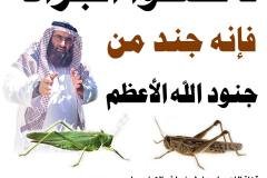 مسابقة-14-min
