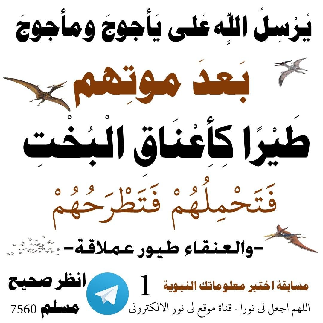 مسابقة-1-min