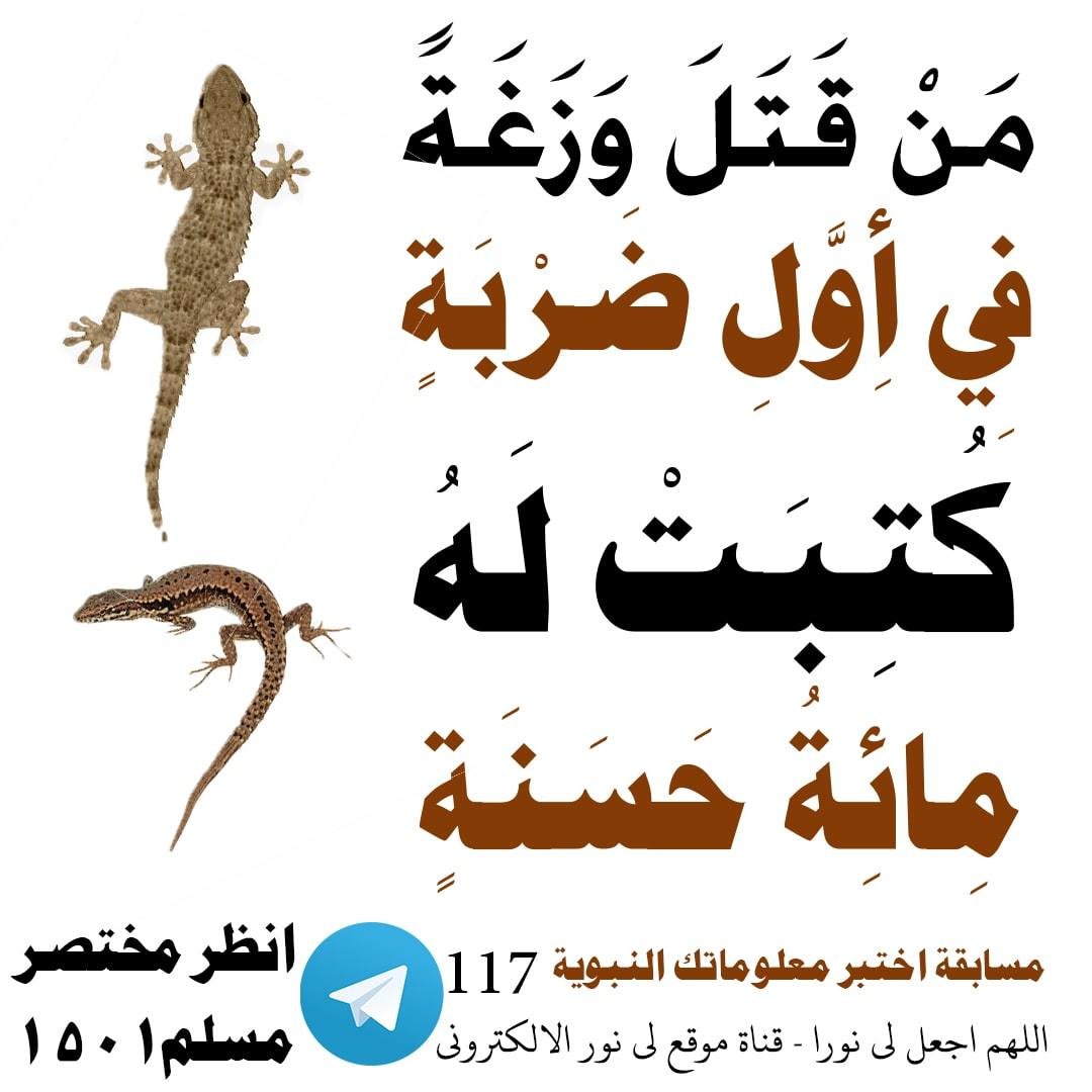 مسابقة-117-min