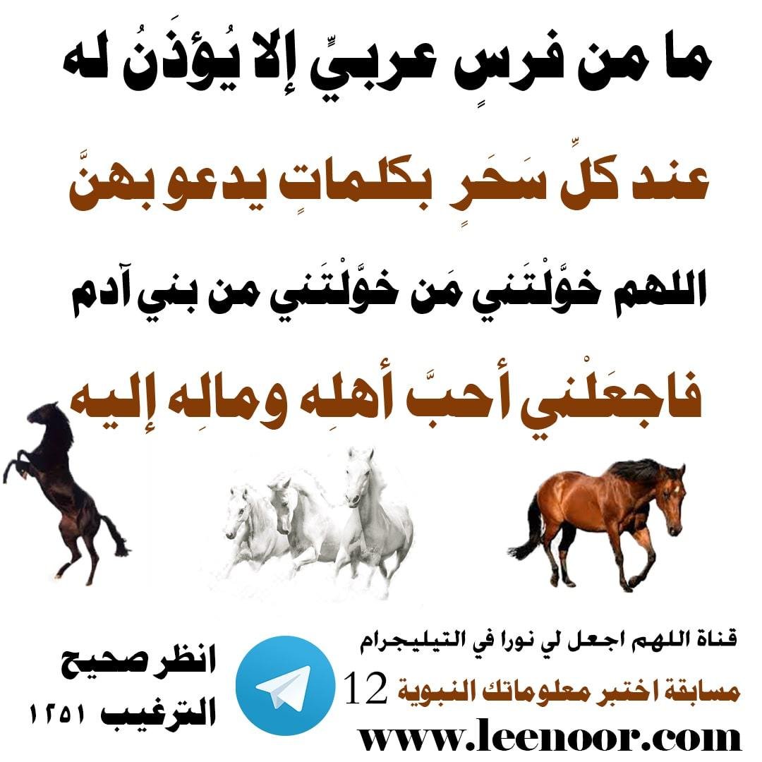 مسابقة-12-min
