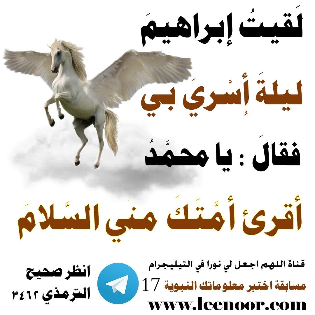 مسابقة-17-2-min