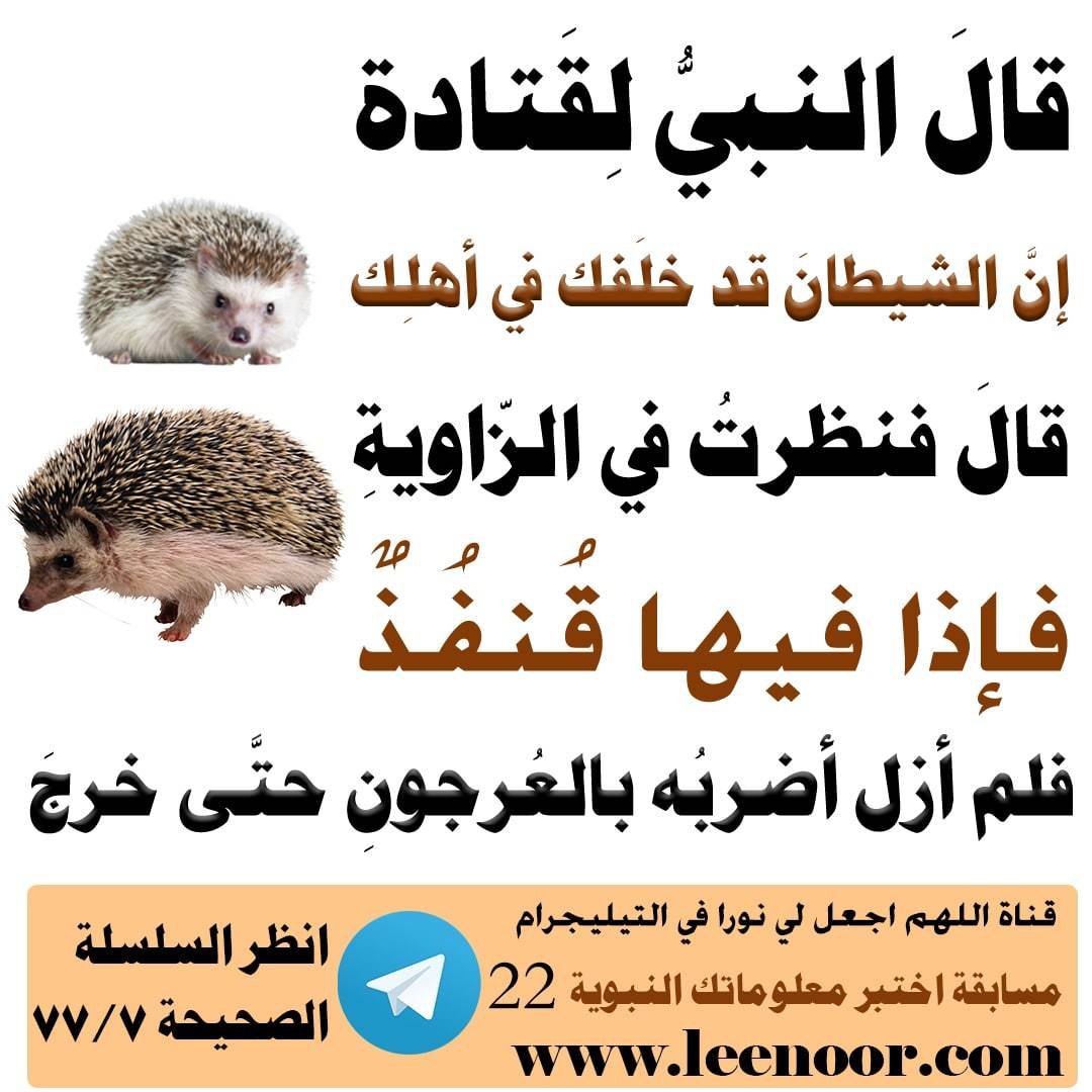 مسابقة-22-min