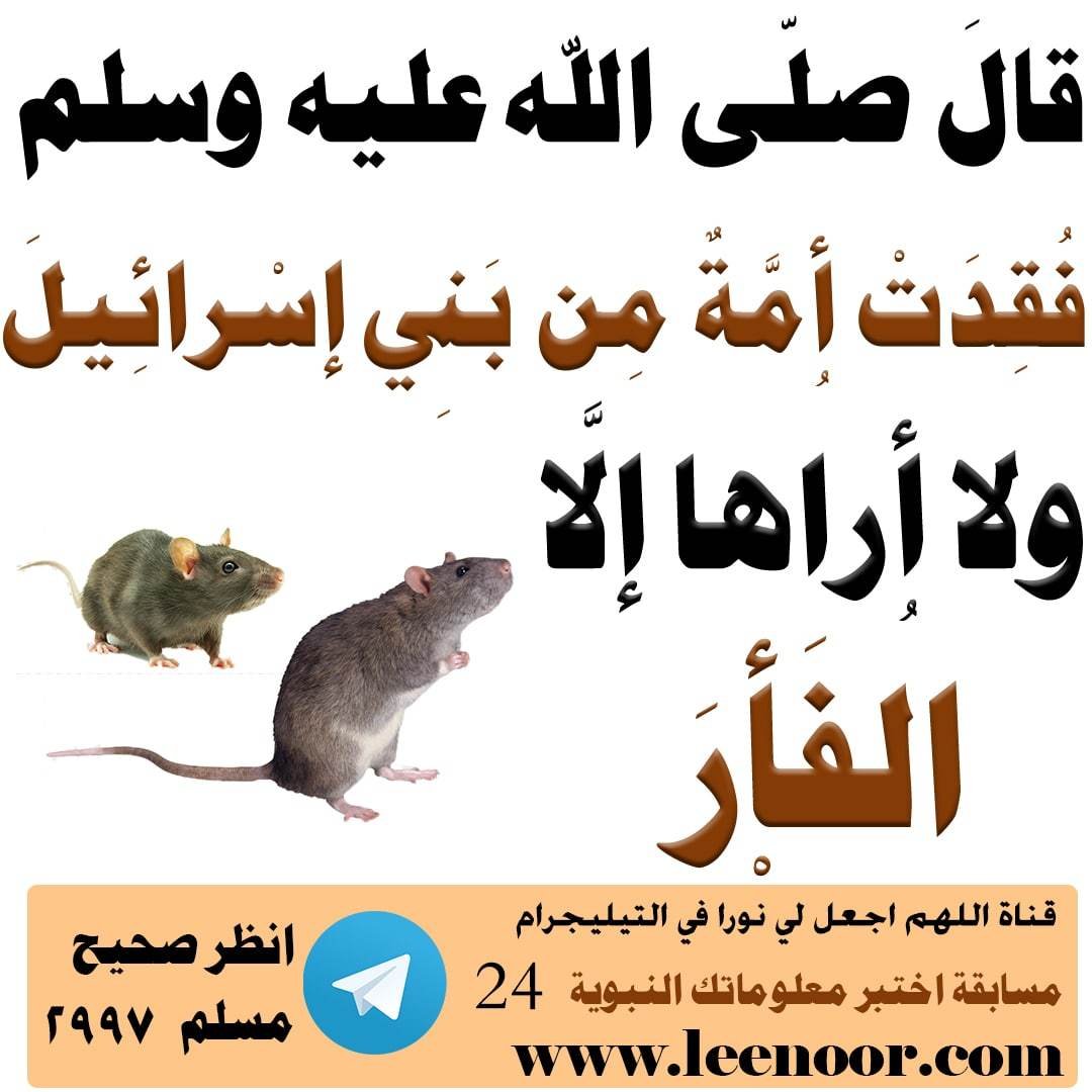 مسابقة-24-min