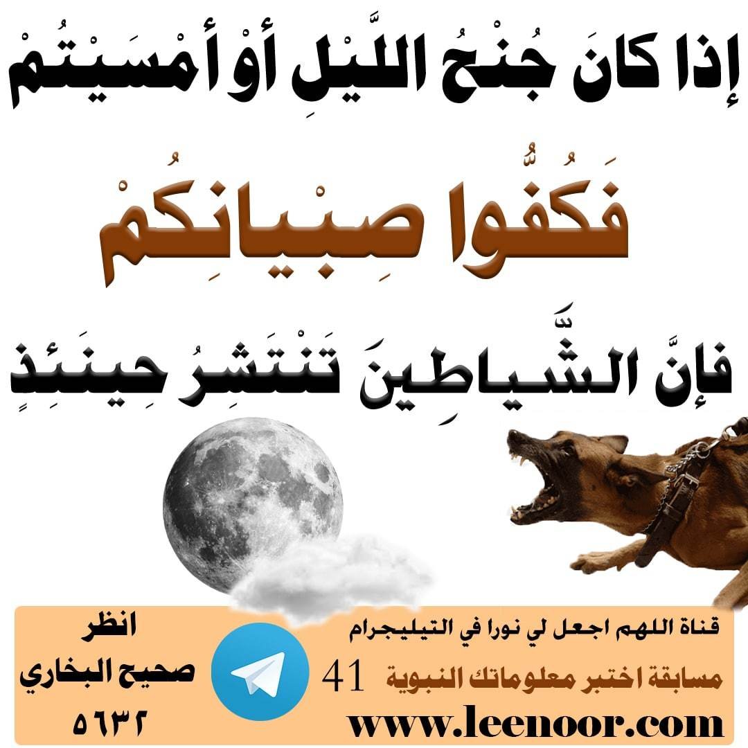 مسابقة-41-min