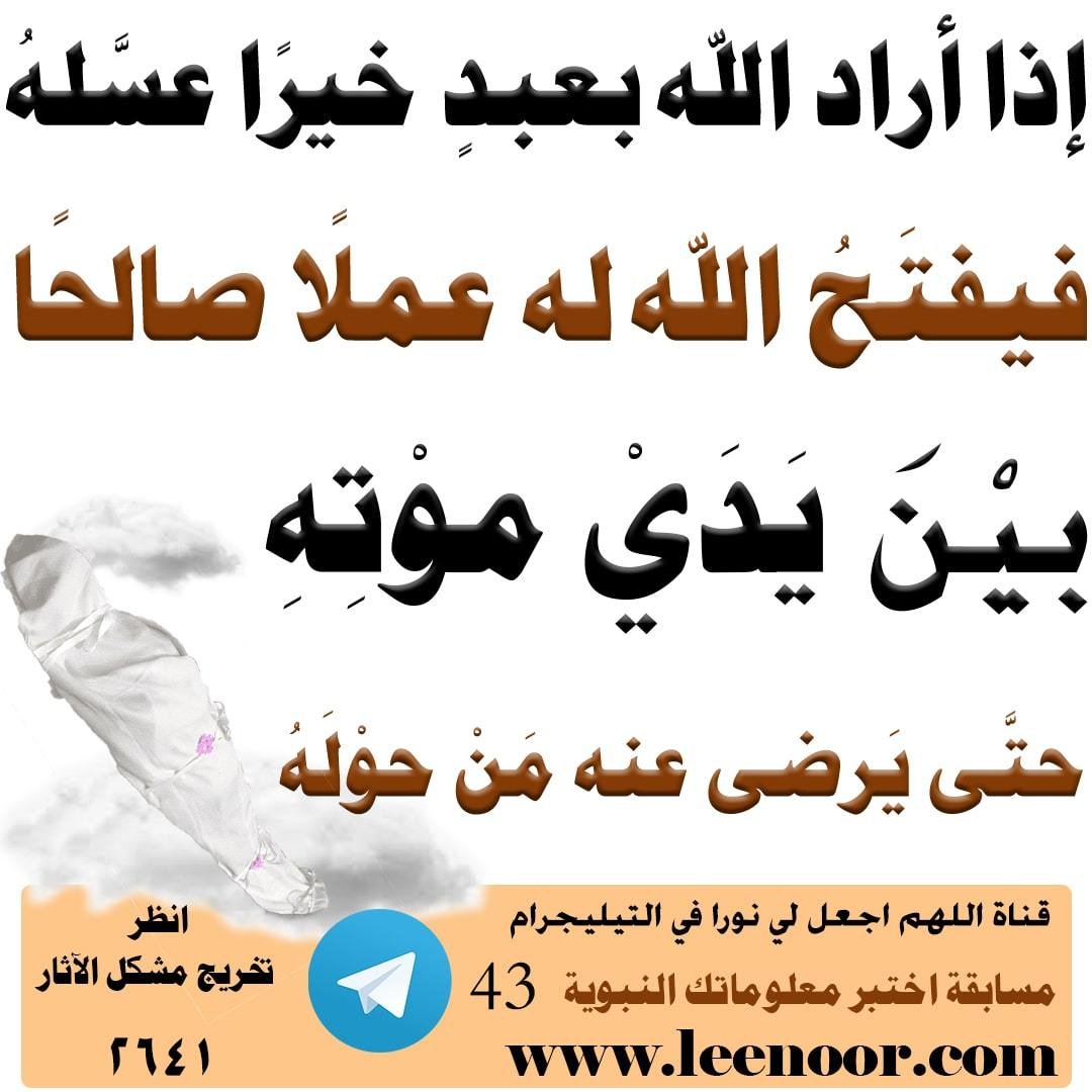 مسابقة-43-min