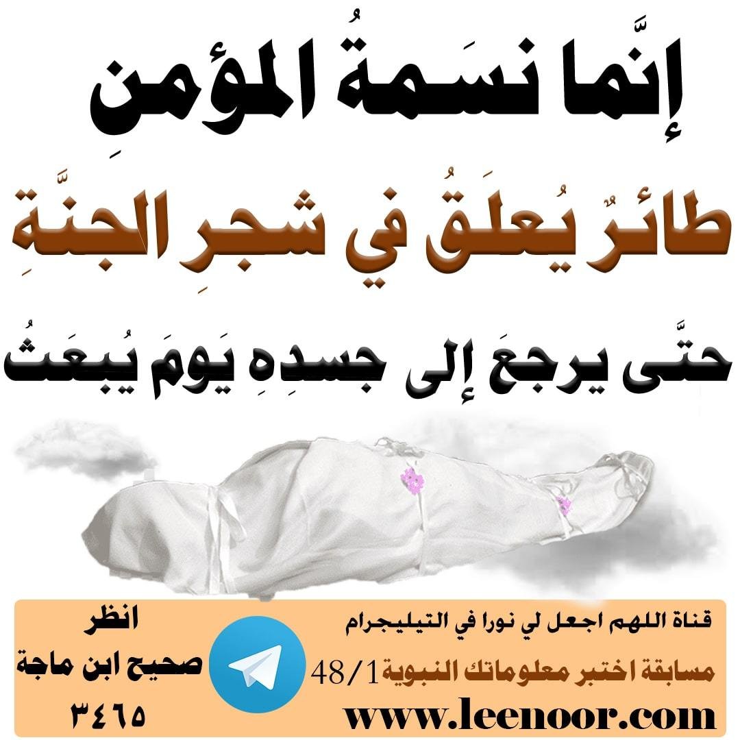 مسابقة-48-1-min
