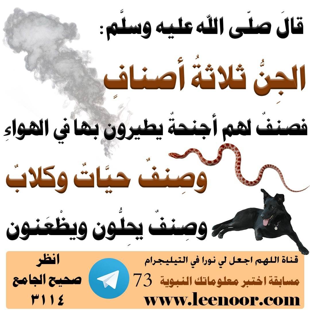 مسابقة-73-min