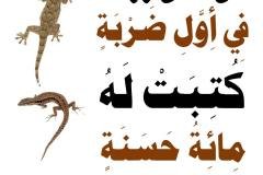 مسابقة-117-min