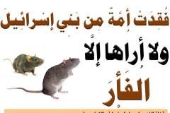 مسابقة-24-min