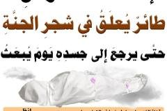 مسابقة-48-1-min