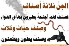 مسابقة-73-min