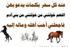 مسابقة-12-min