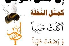 297-298-عينة-ثانية-min