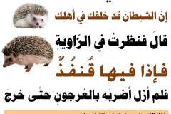 مسابقة-22-min
