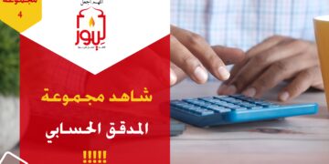 شاهد مجموعة 4 المدقق الحسابي