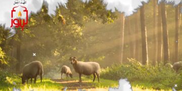 الاصدار 69  حداءة ( شفاء عرق النسا والدسك )