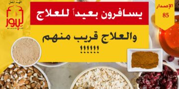 الاصدار 85 قصة ( تذكرة طائرة )