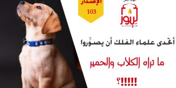الاصدار 103 حداءة ( وما الحيوان يبصره بعينٍ عجزتم كُنههُ أن تعرفونَ !! )