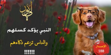 كيف يمكن أن نصف بالذكاء والعقل والفطنة من وصفه الله ورسوله بالخبث والغباء والكسل؟! شاهد حداءة ( كيف كسلان خبيث عقله يُعطى علوماً شرفت بعلاء !!! ) – الاصدار 188