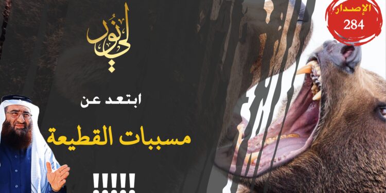 قصة غيرت حياتي الاجتماعية وجعلتني أنظر بطريقة مختلفة إلى الأمور من حولي، شاهد قصة 284